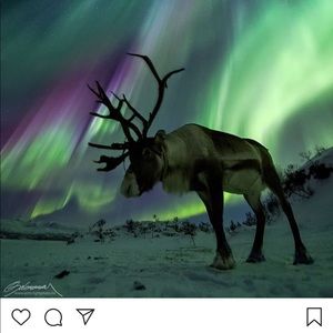 Meet your Posher, Soma